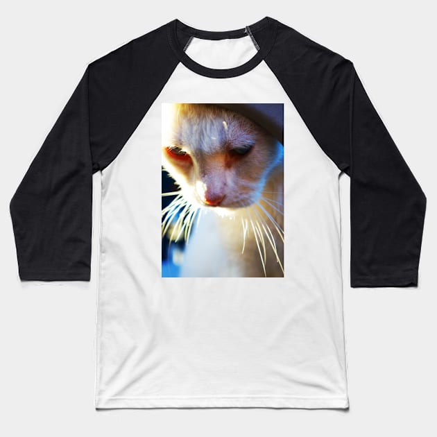 White Cat Looking Down Baseball T-Shirt by 1Redbublppasswo